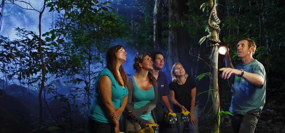 Night_walk_in_the_Daintree_Rainforest_at_Cape_Trib_Camping-slide116_Jan23122434